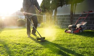 Landscaping Services