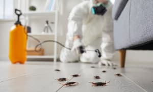 Pest Control